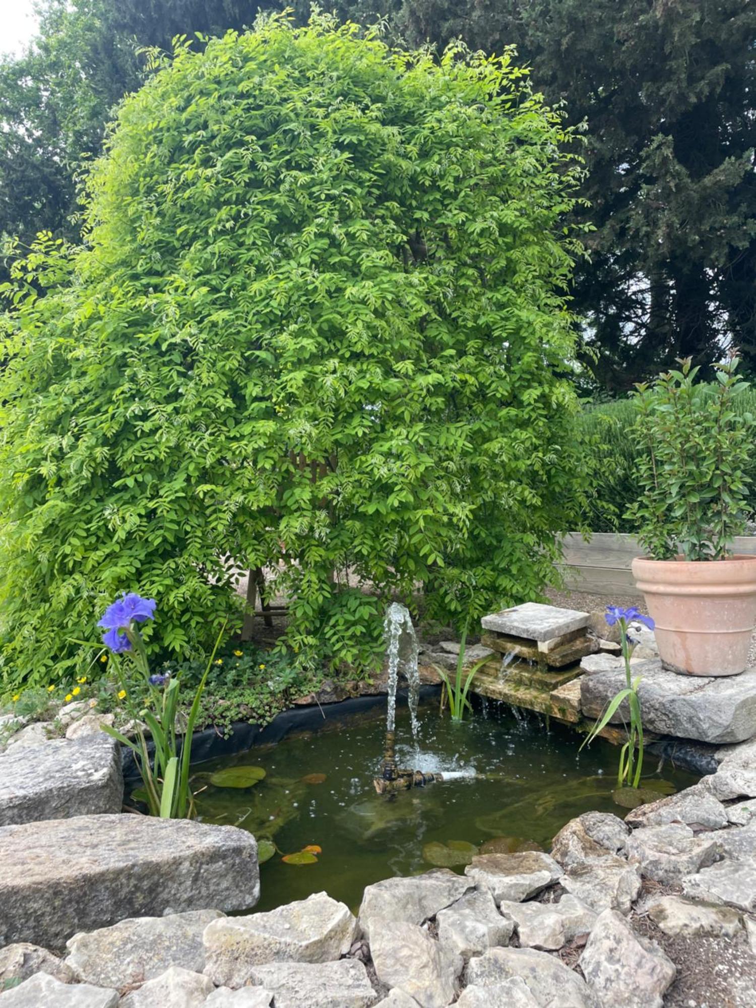 Arles Campagne Location "La Campagn'Arles" Bed & Breakfast Bagian luar foto